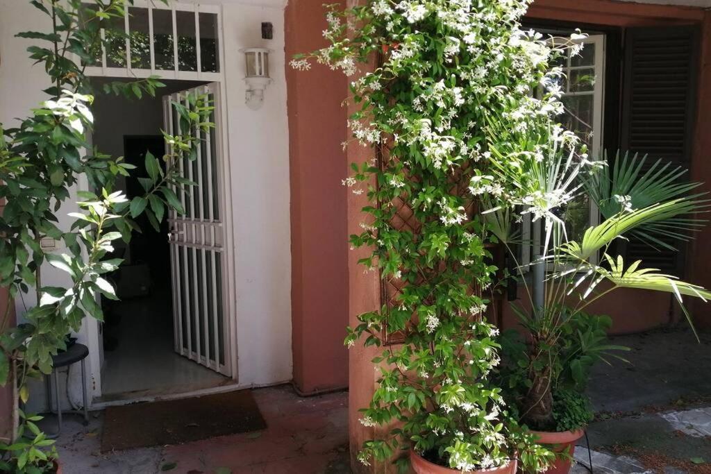 Ferienwohnung La Casa Della Mia Famiglia Rom Exterior foto
