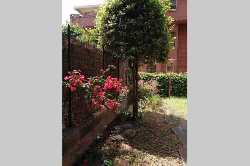 Ferienwohnung La Casa Della Mia Famiglia Rom Exterior foto